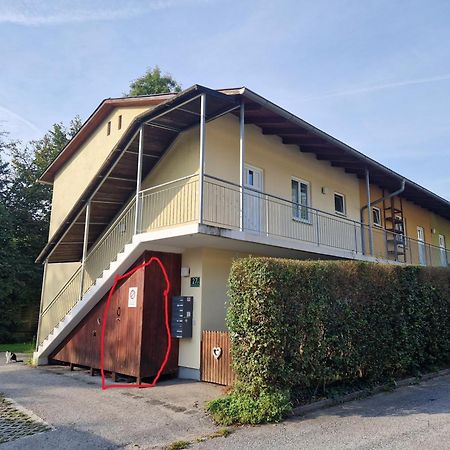 Erholung Pur Nahe Krankenhaus & Uni Mit Parkplatz! Apartman Graz Kültér fotó